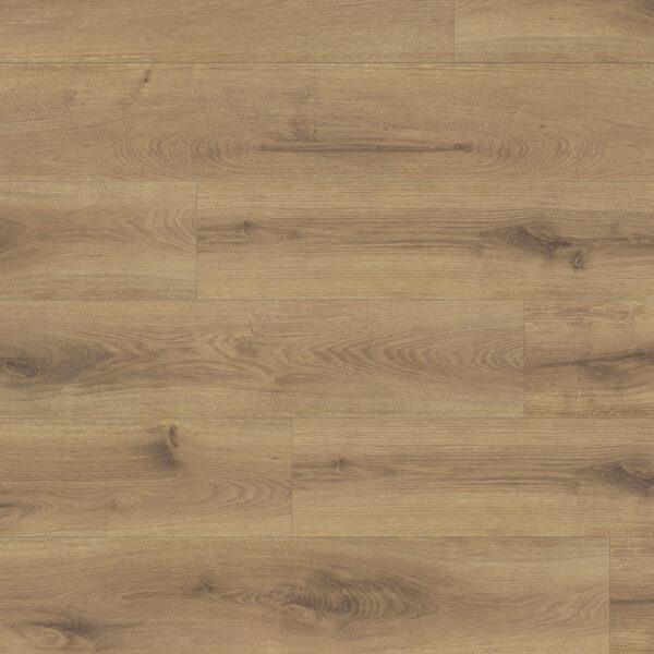 Osmium #8019 - Image 2